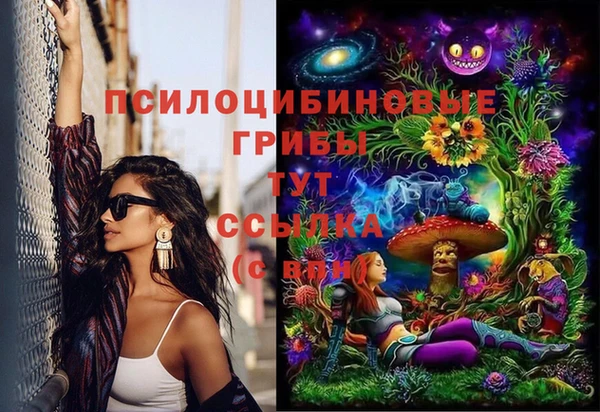 винт Михайловка