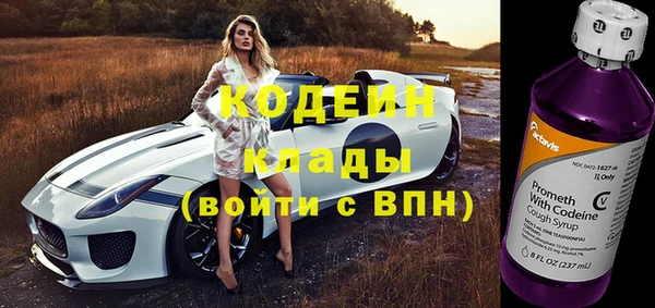 МДПВ Михайлов