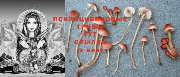 МДПВ Михайлов
